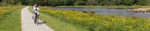 Beeld van fietser in Drentse landschap