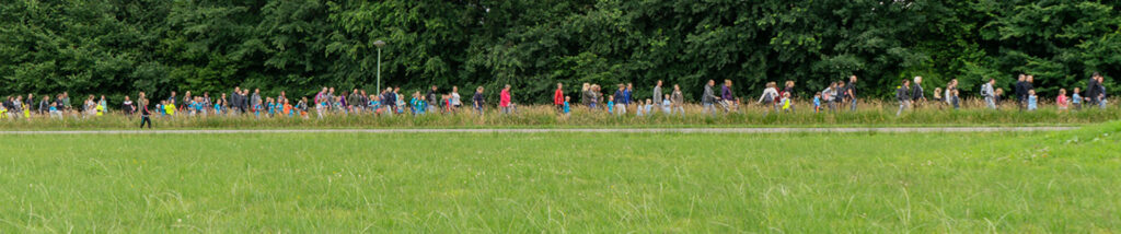wandelvierdaagse in Drenthe